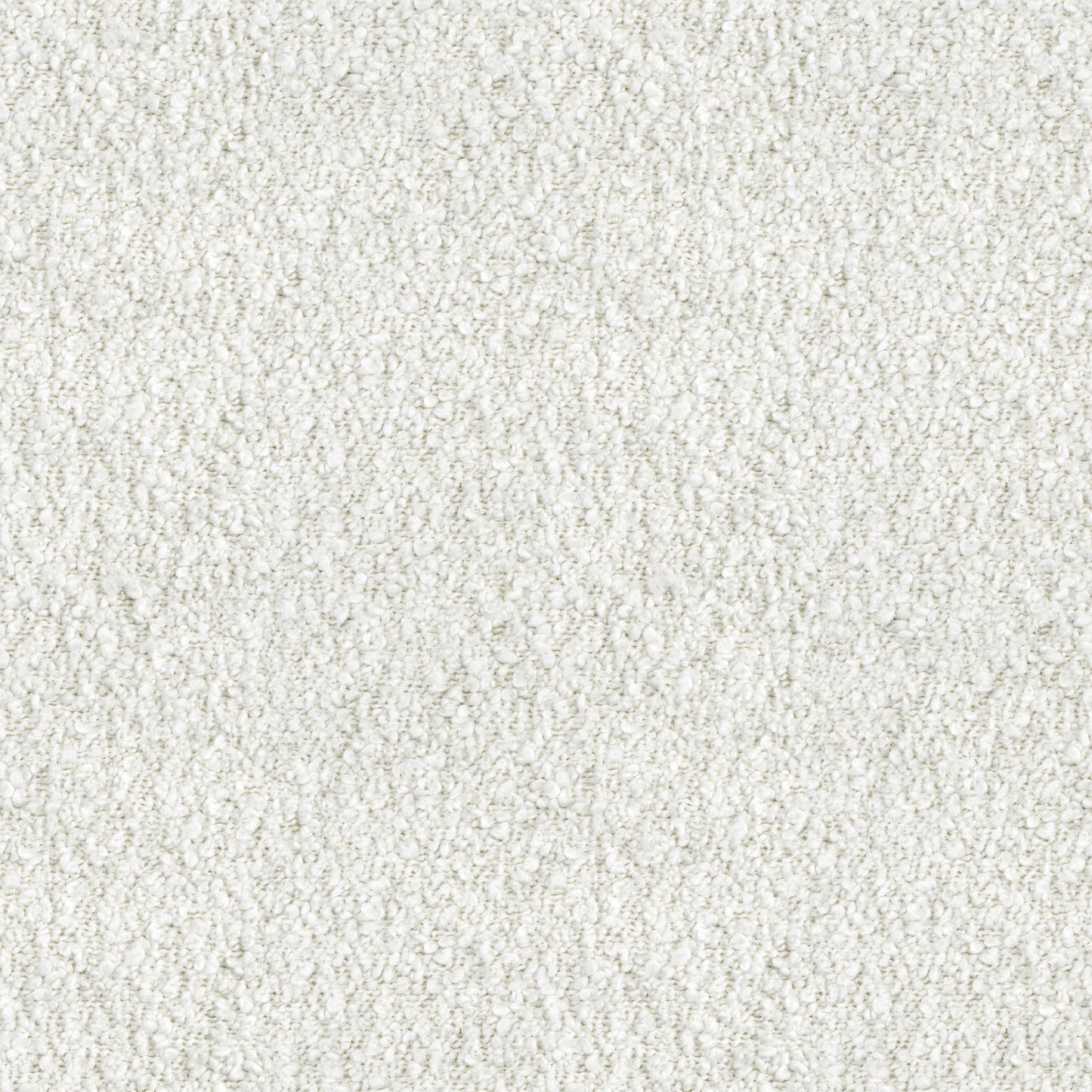 Ivy (D22337)