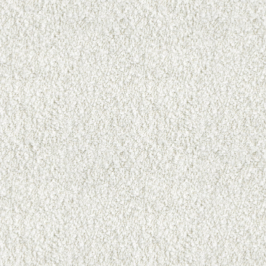 Ivy (D22337)