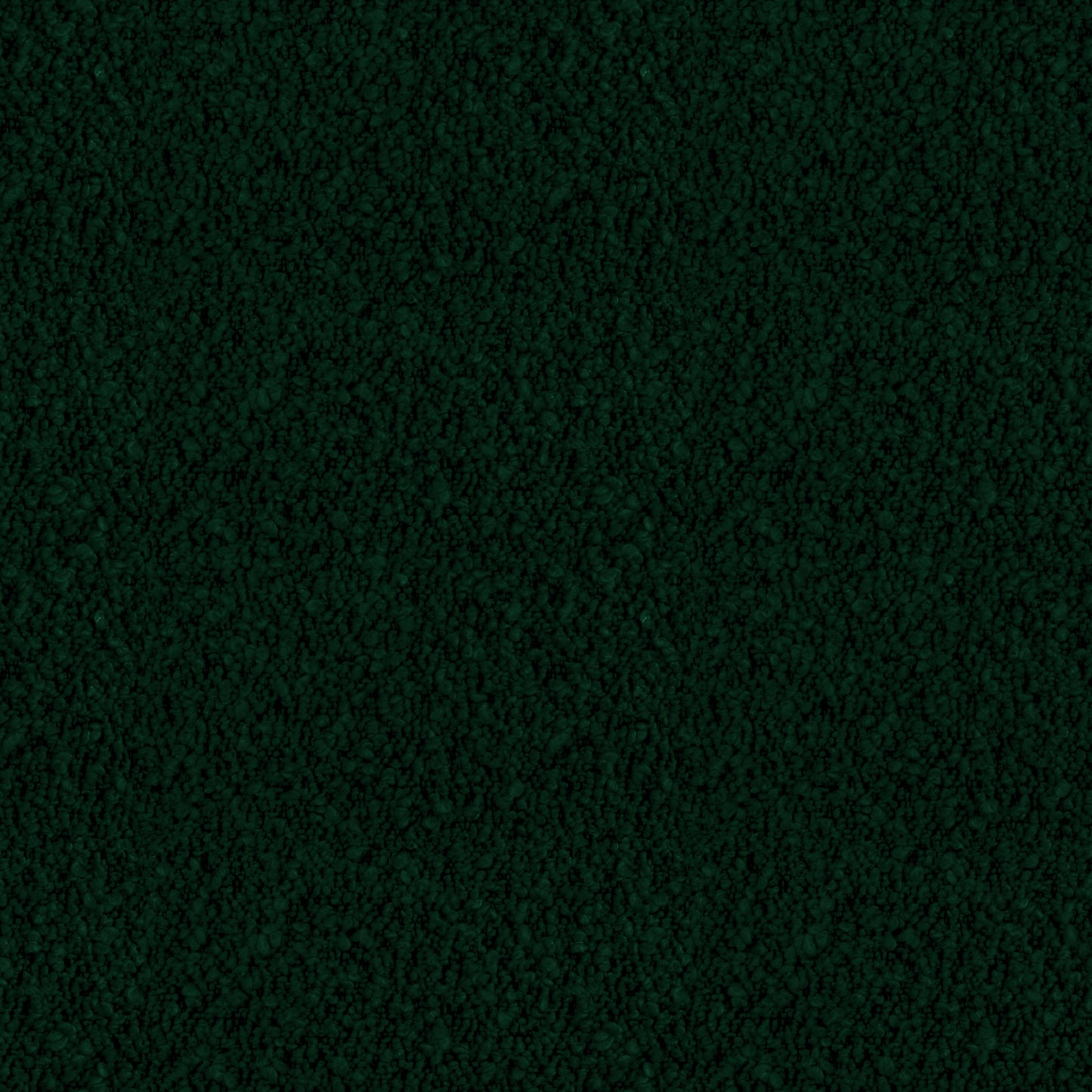 Ivy (D22337)