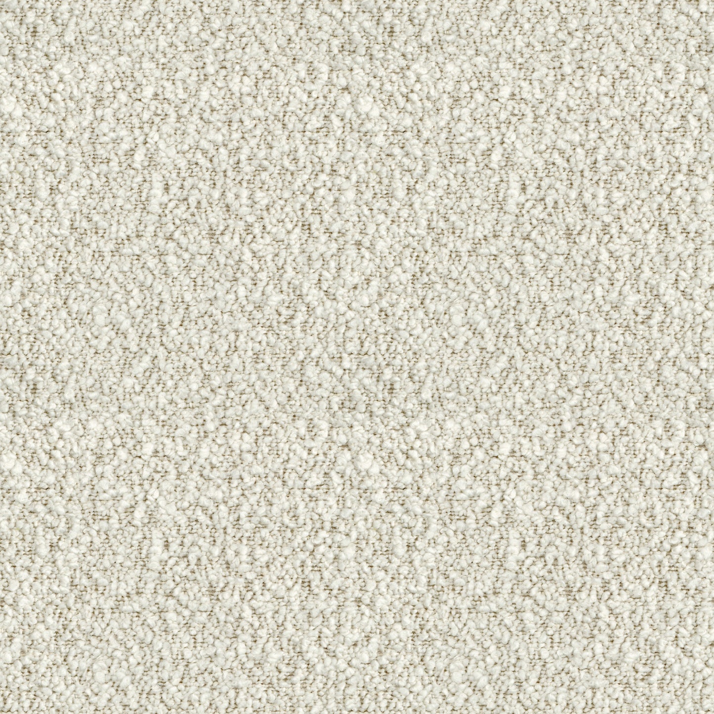 Ivy (D22337)