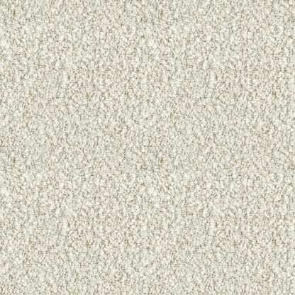 Ivy (D22337)
