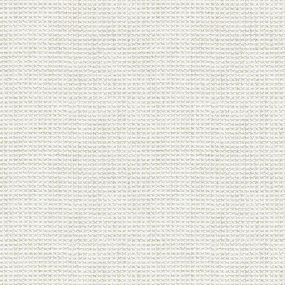 Nourish (D24271)