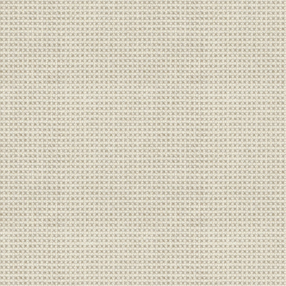 Nourish (D24271)