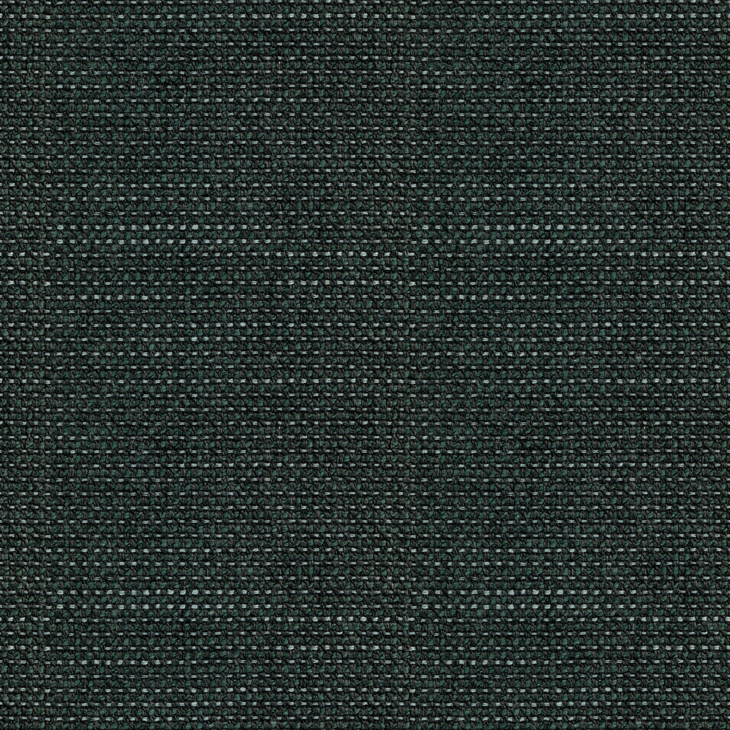 Nourish (D24271)