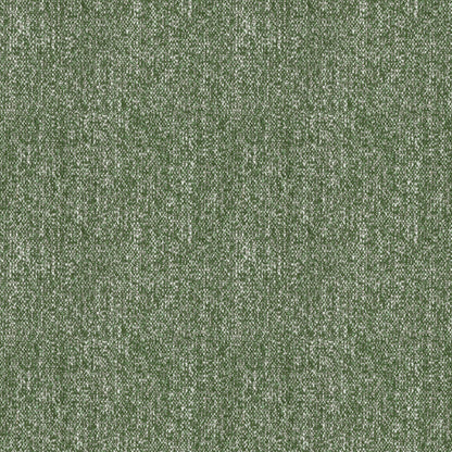 Mone (DE9033)