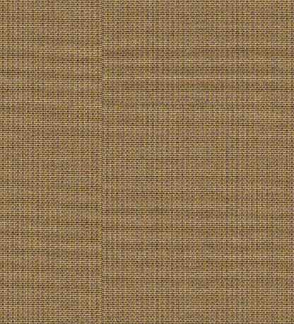 DR2403