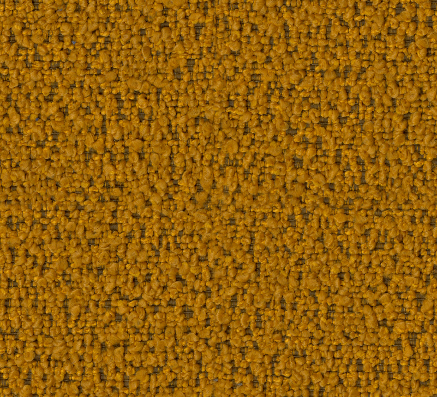 Marcus (DR7017)