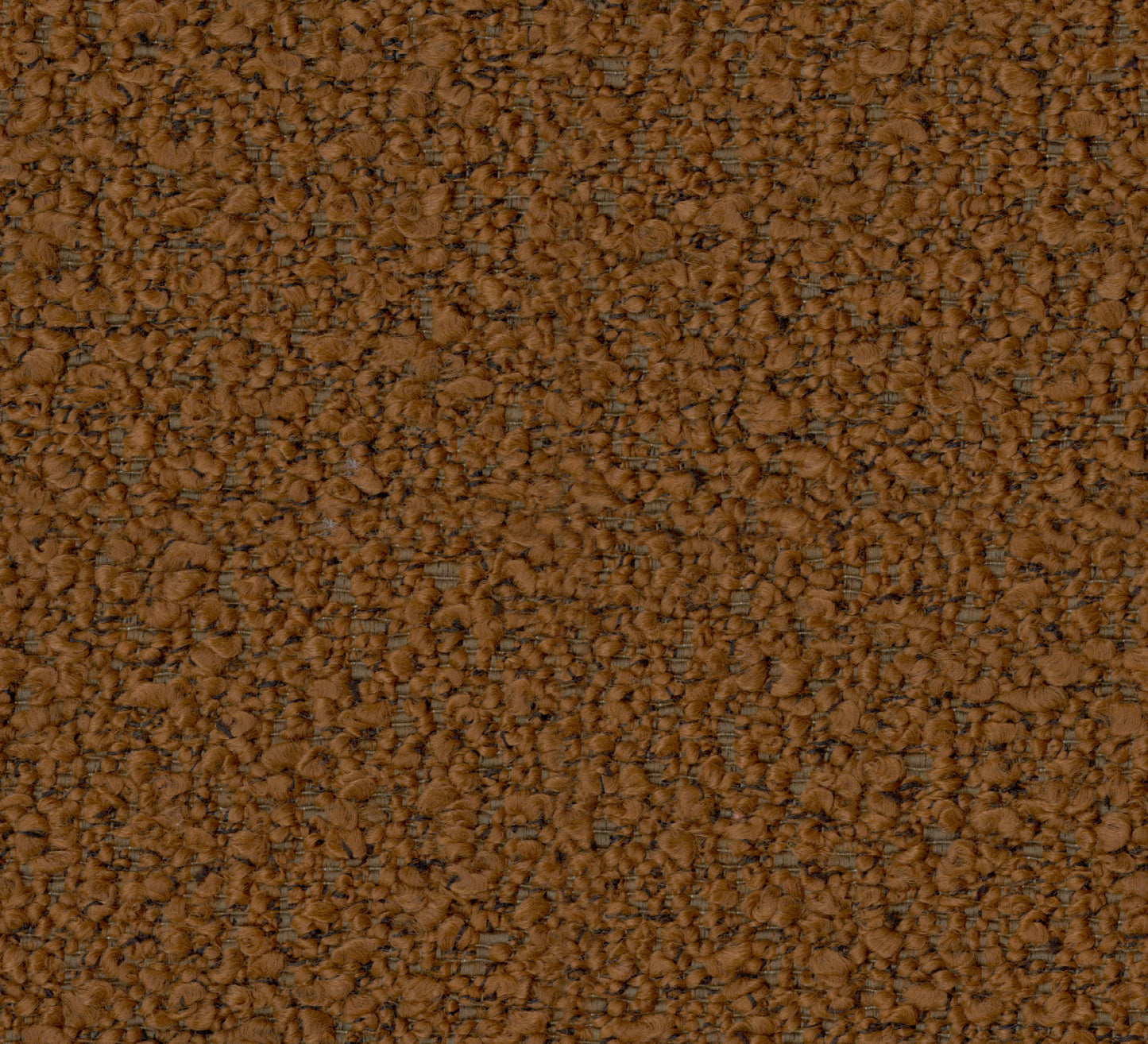Marcus (DR7017)