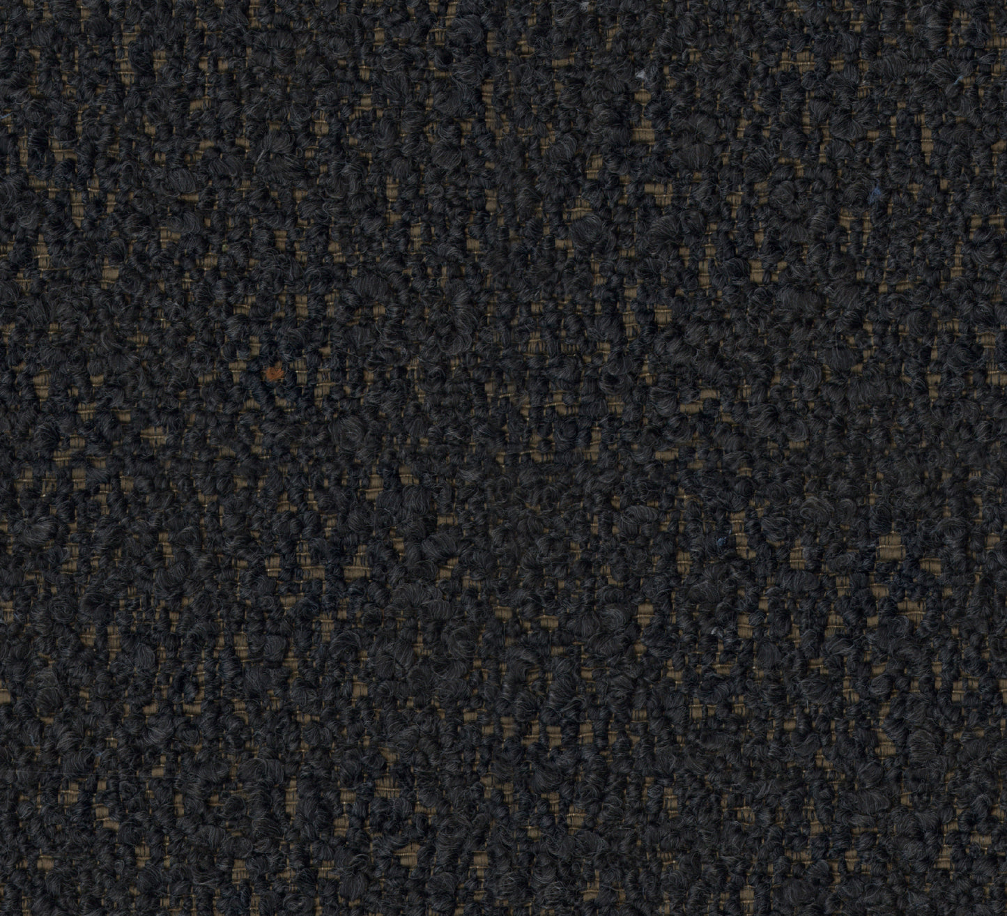 Marcus (DR7017)