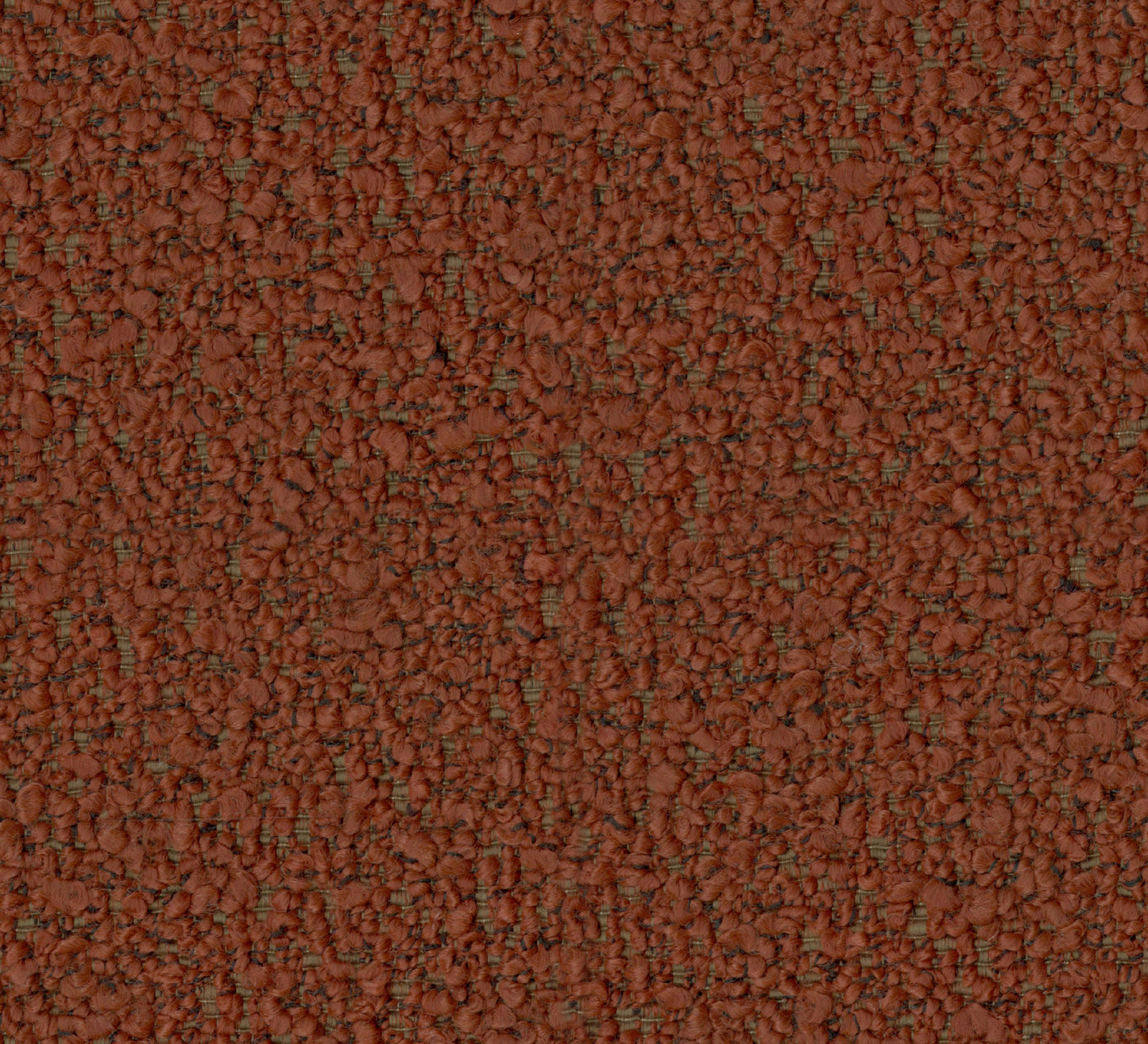 Marcus (DR7017)