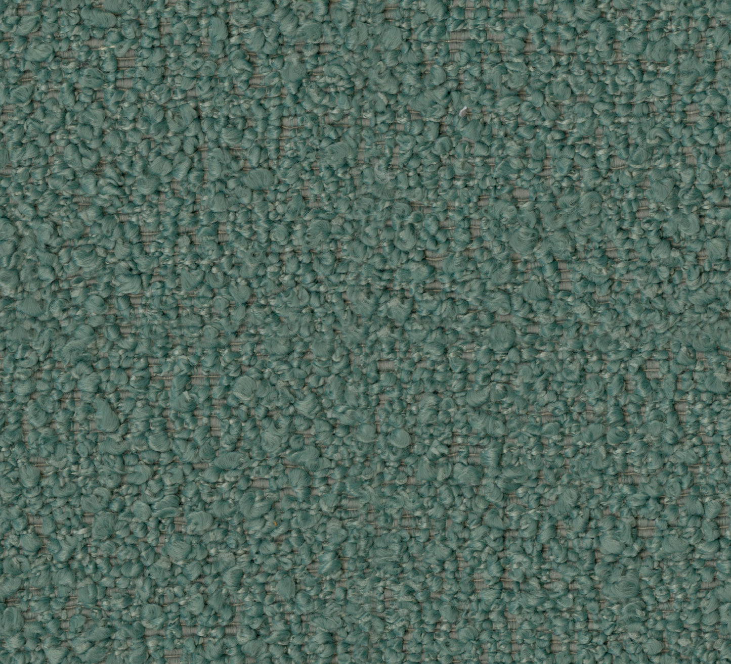 Marcus (DR7017)
