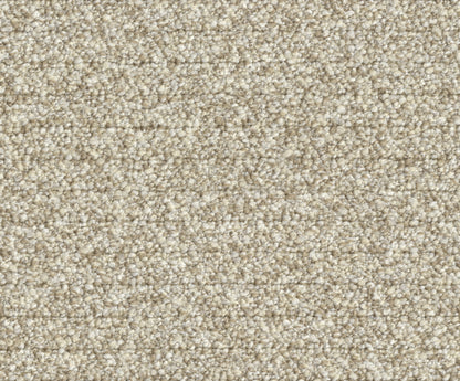 Pamela (DR7019)