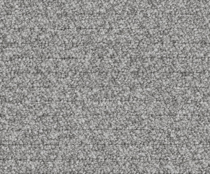 Pamela (DR7019)
