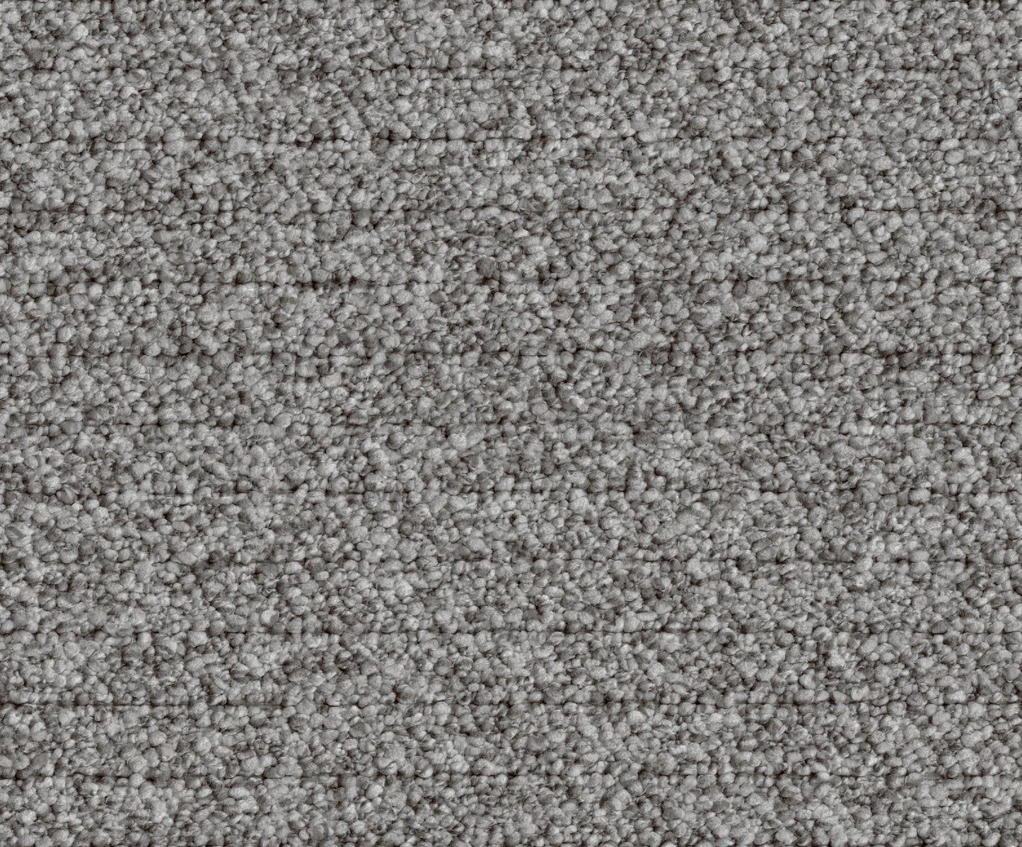 Pamela (DR7019)