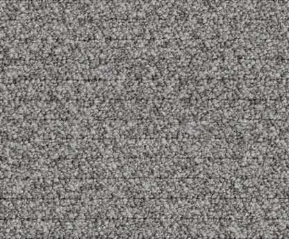 Pamela (DR7019)