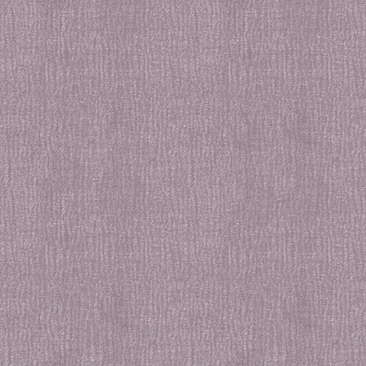 Speedy (D23151B)