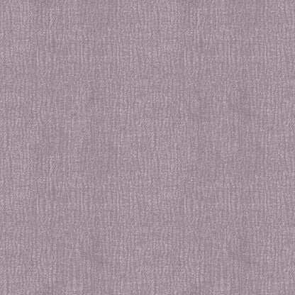 Speedy (D23151B)