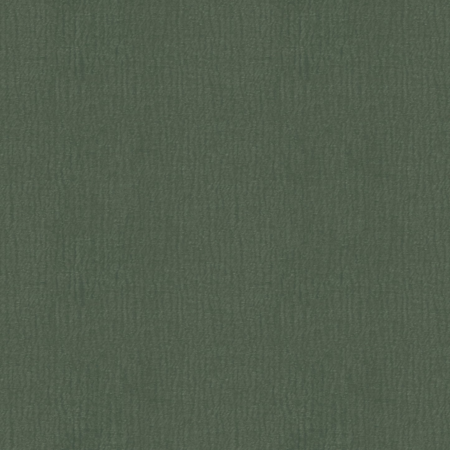 Speedy (D23151B)