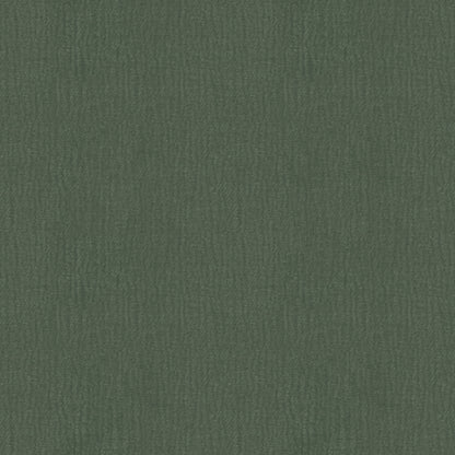 Speedy (D23151B)