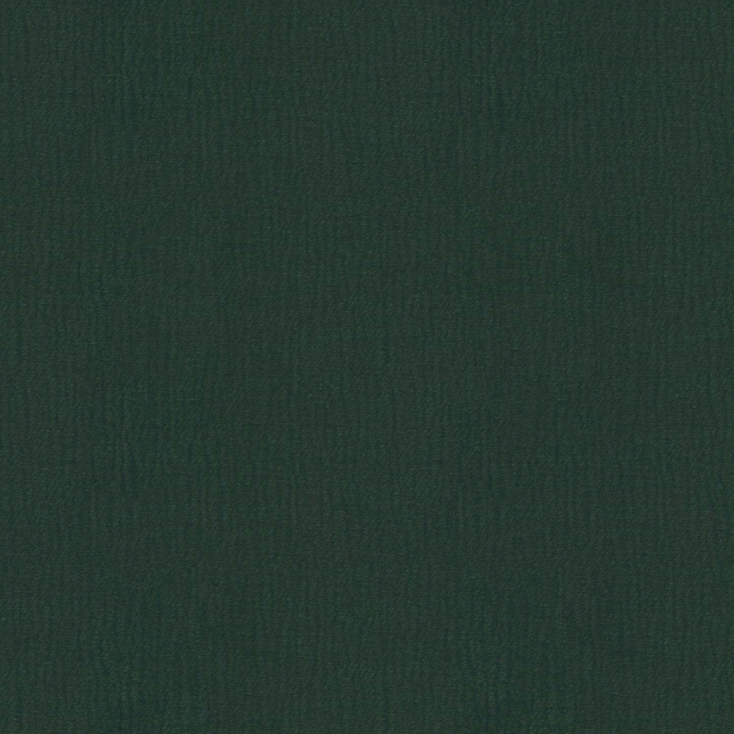 Speedy (D23151B)