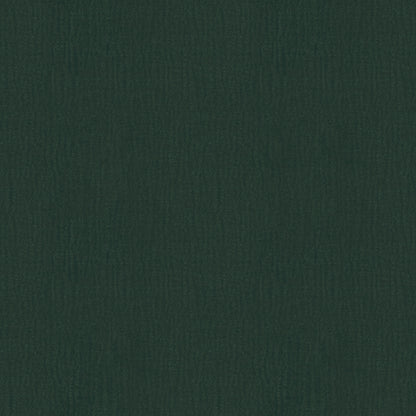 Speedy (D23151B)