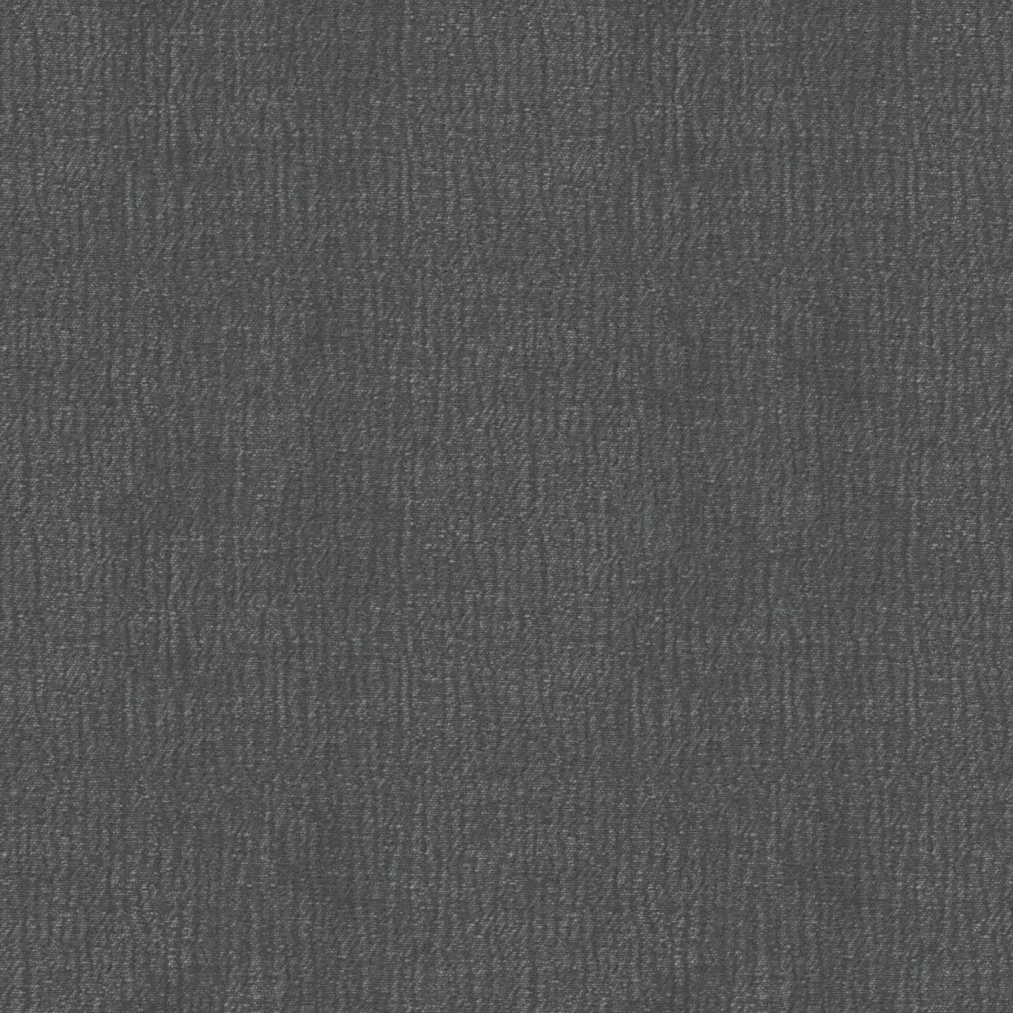 Speedy (D23151B)