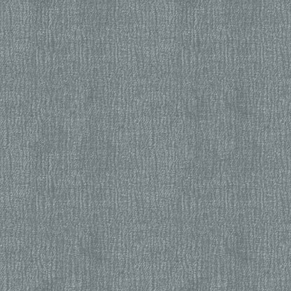 Speedy (D23151B)
