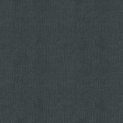Speedy (D23151B)