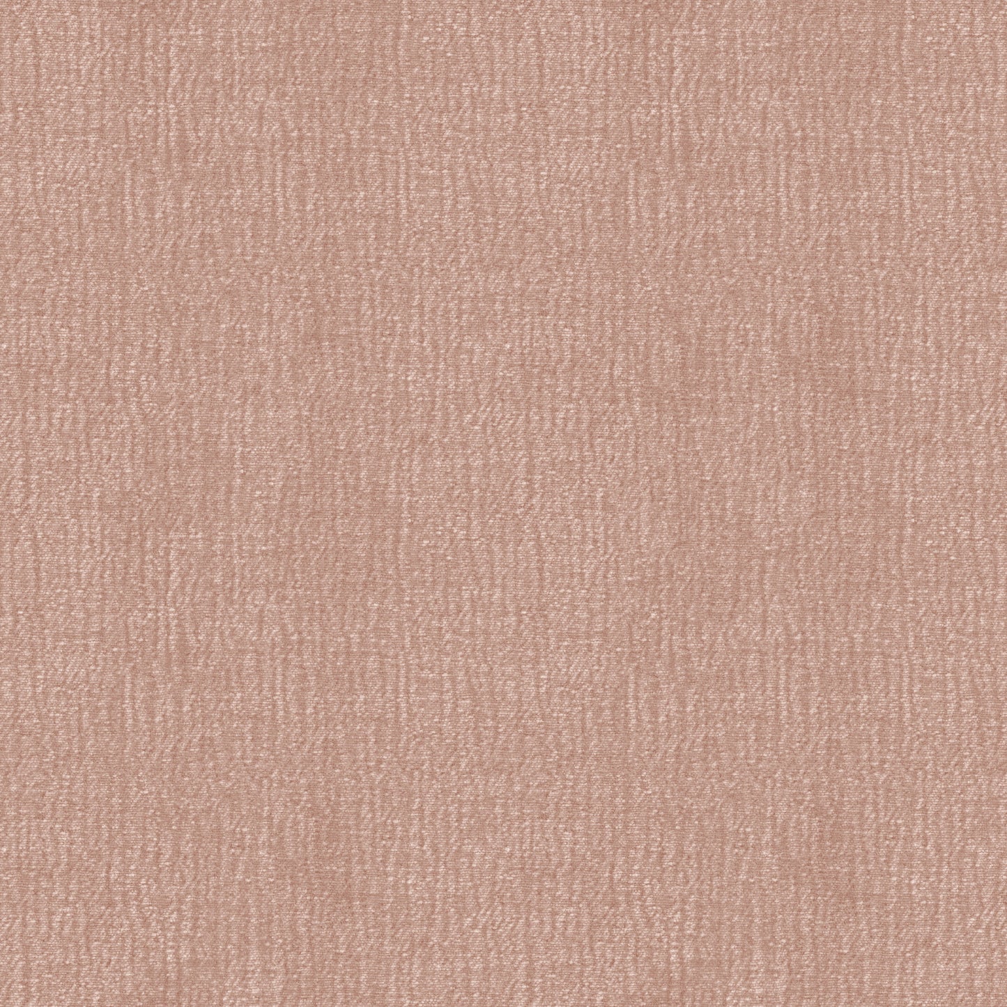 Speedy (D23151B)