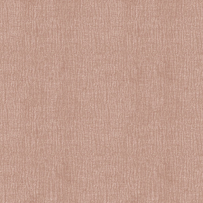 Speedy (D23151B)