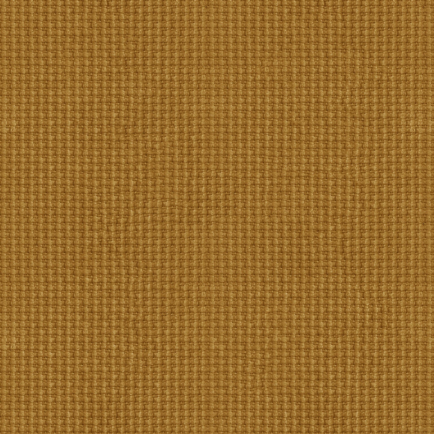 Solenne (D24364)