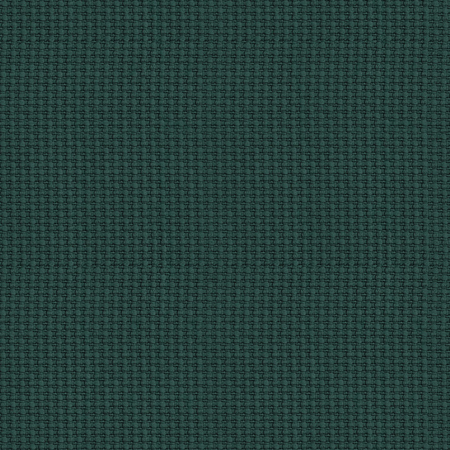 Solenne (D24364)