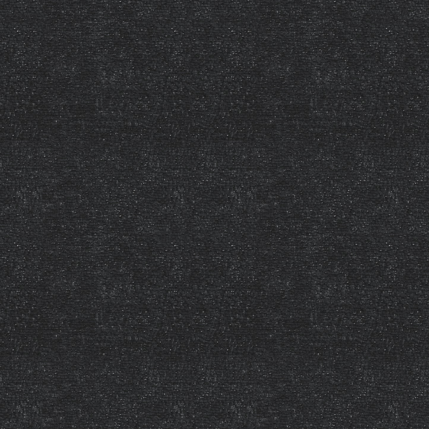 Tyler (KH6F371)